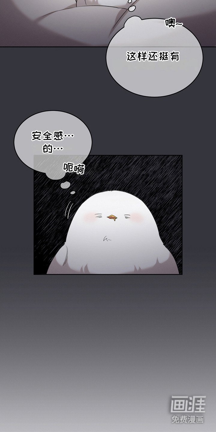 第21章：藏起来