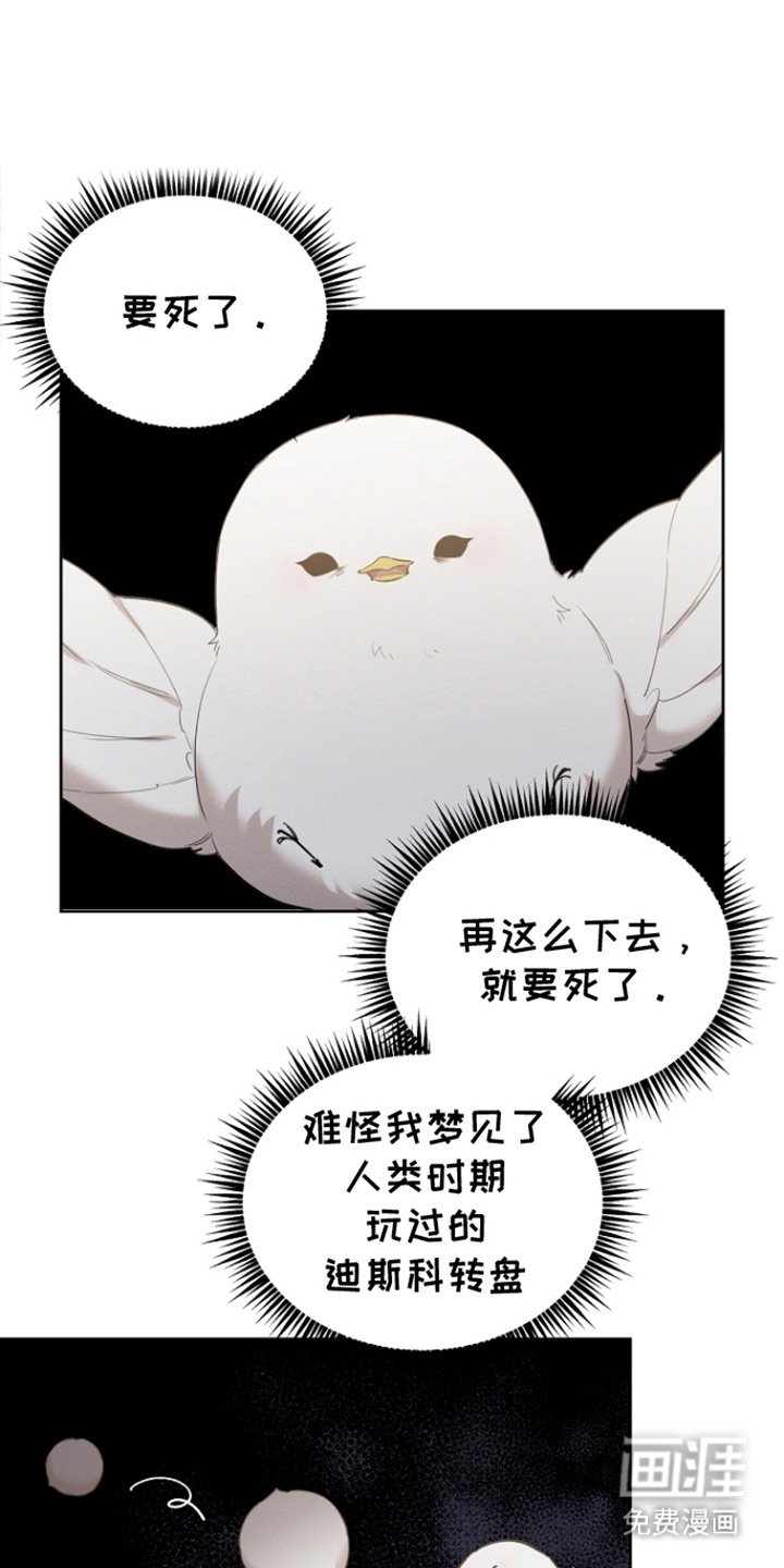 第23章：一脸心疼