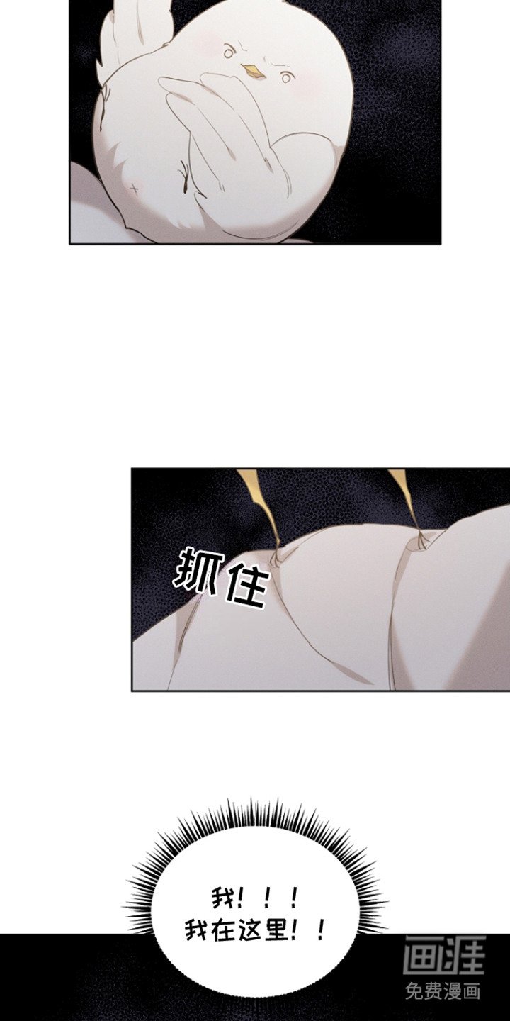 第23章：一脸心疼