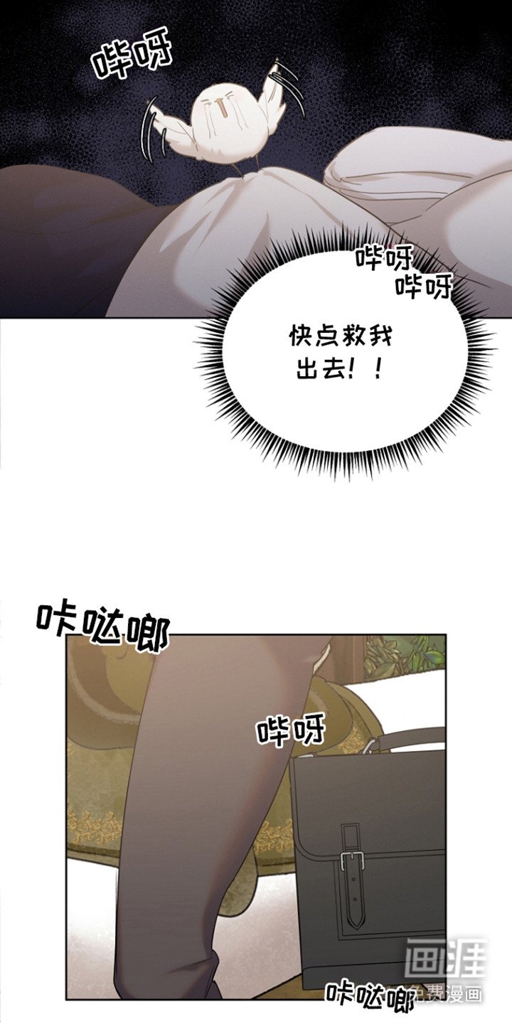 第23章：一脸心疼