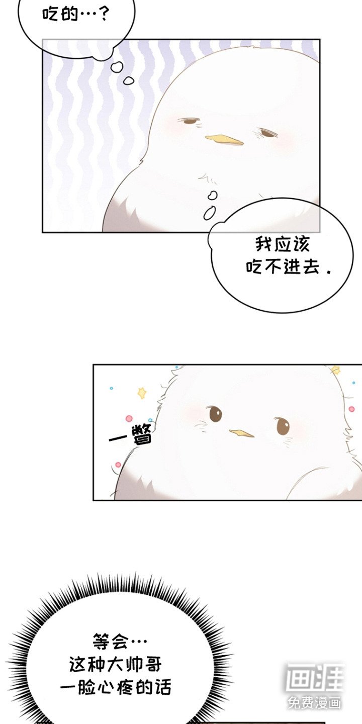 第23章：一脸心疼