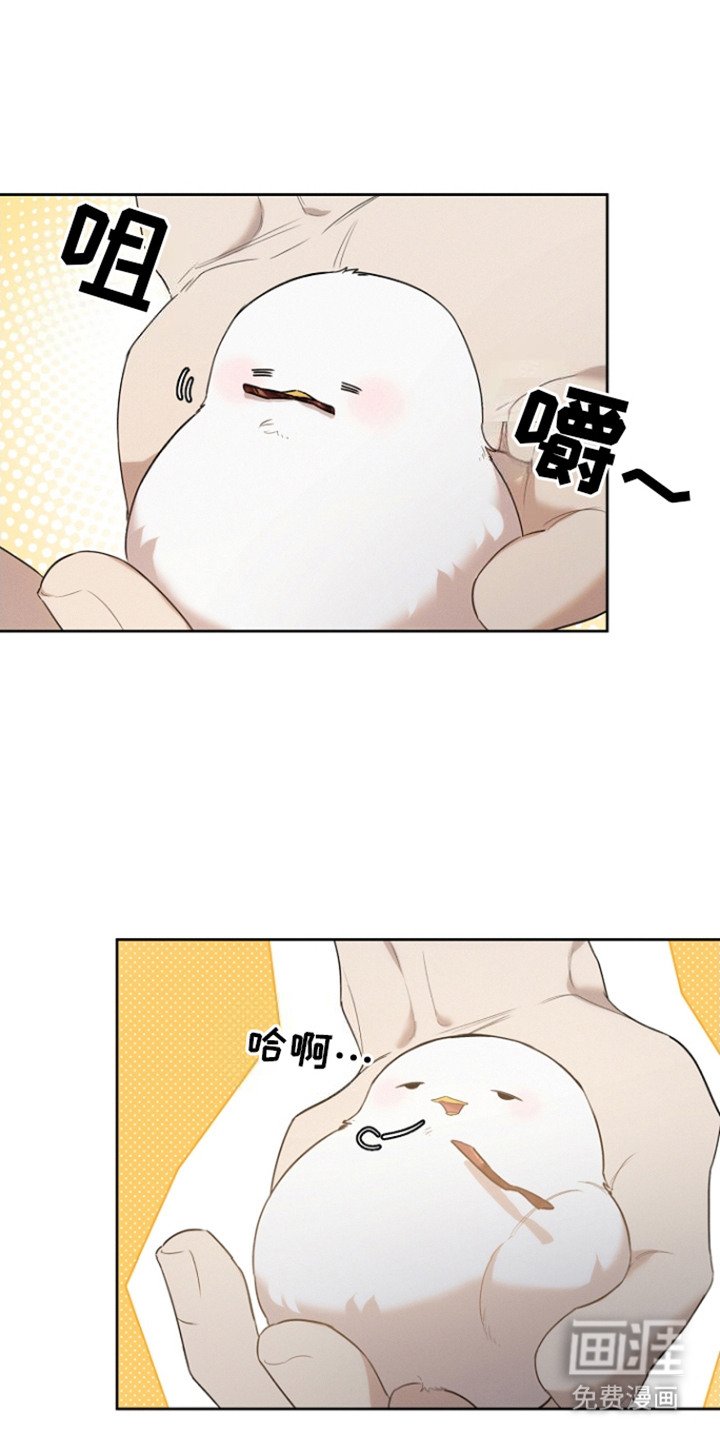 第24章：牵动内心