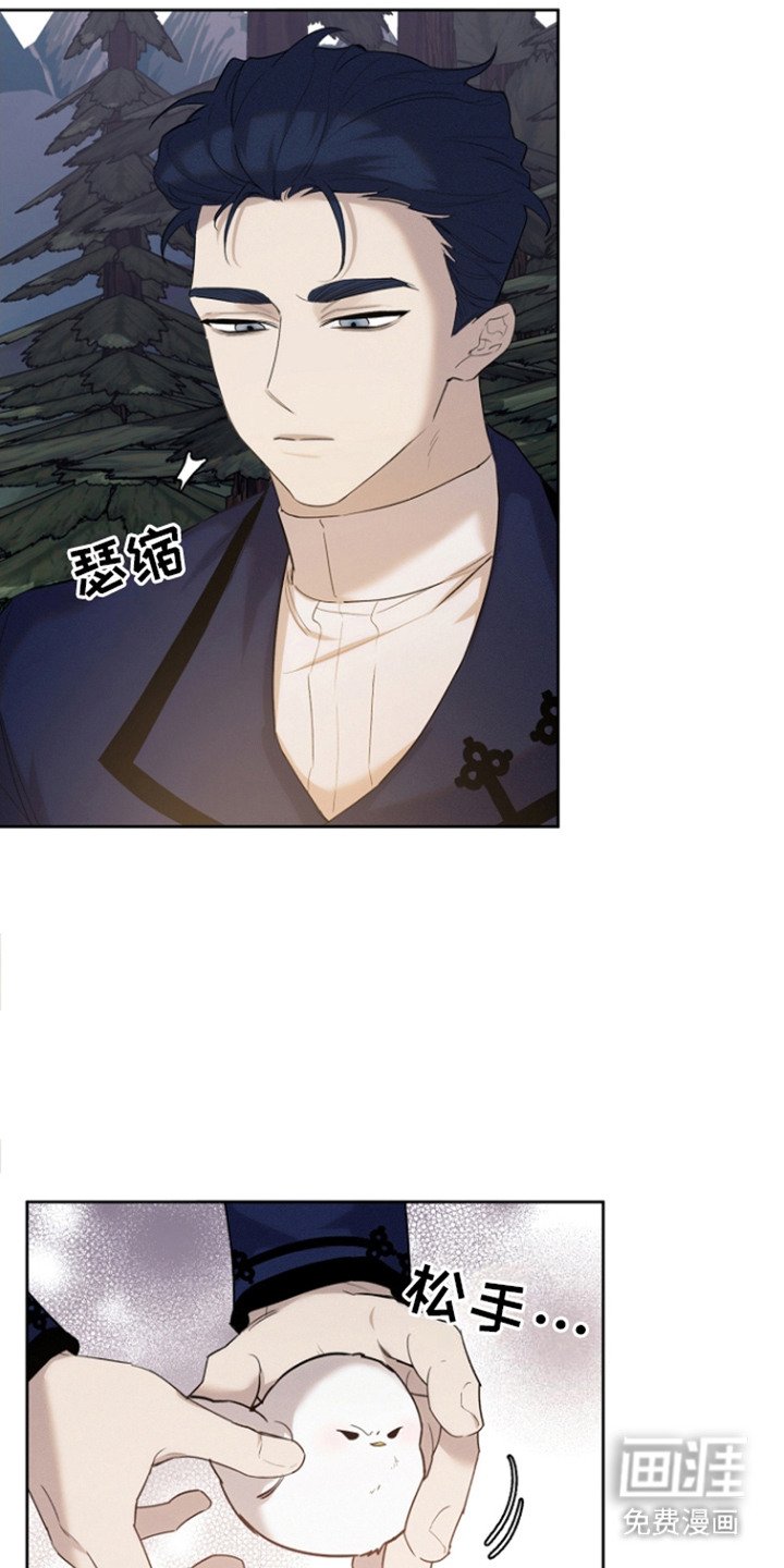 第26章：被撞倒