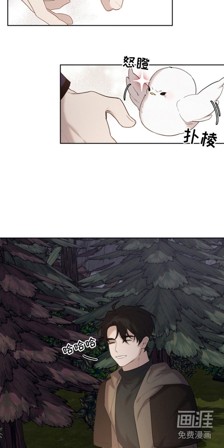 第26章：被撞倒