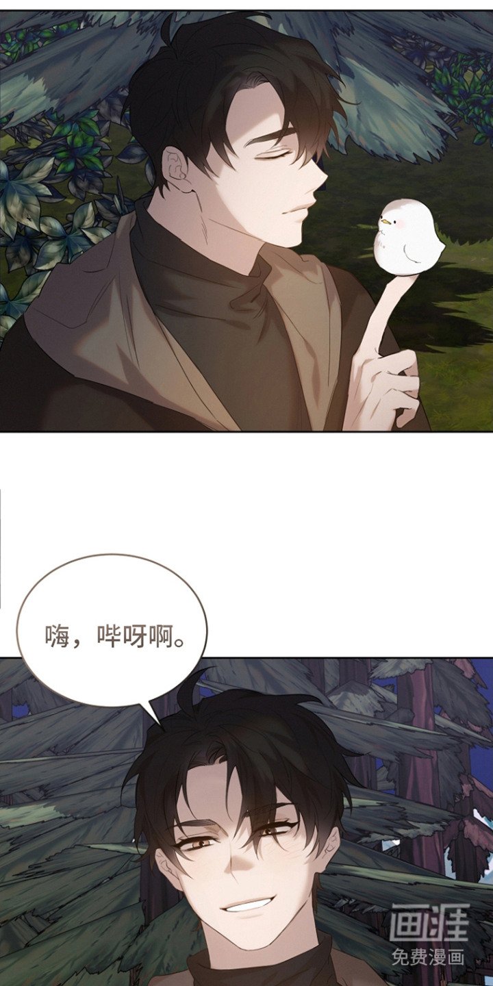 第26章：被撞倒