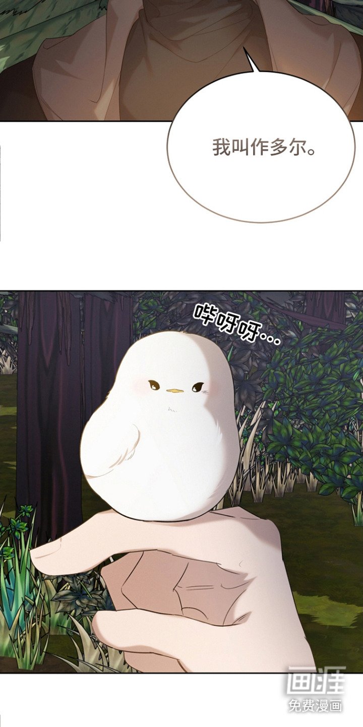 第26章：被撞倒