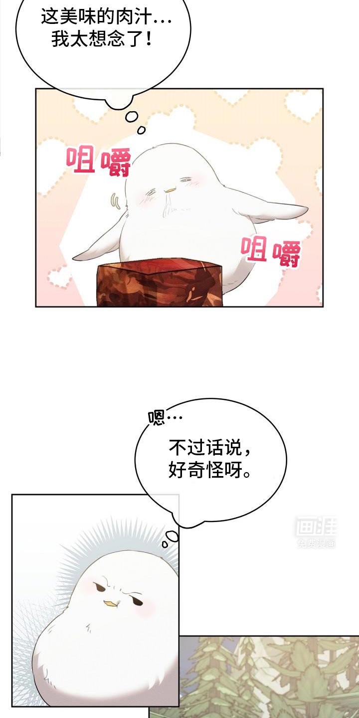 第29章：氛围不对劲