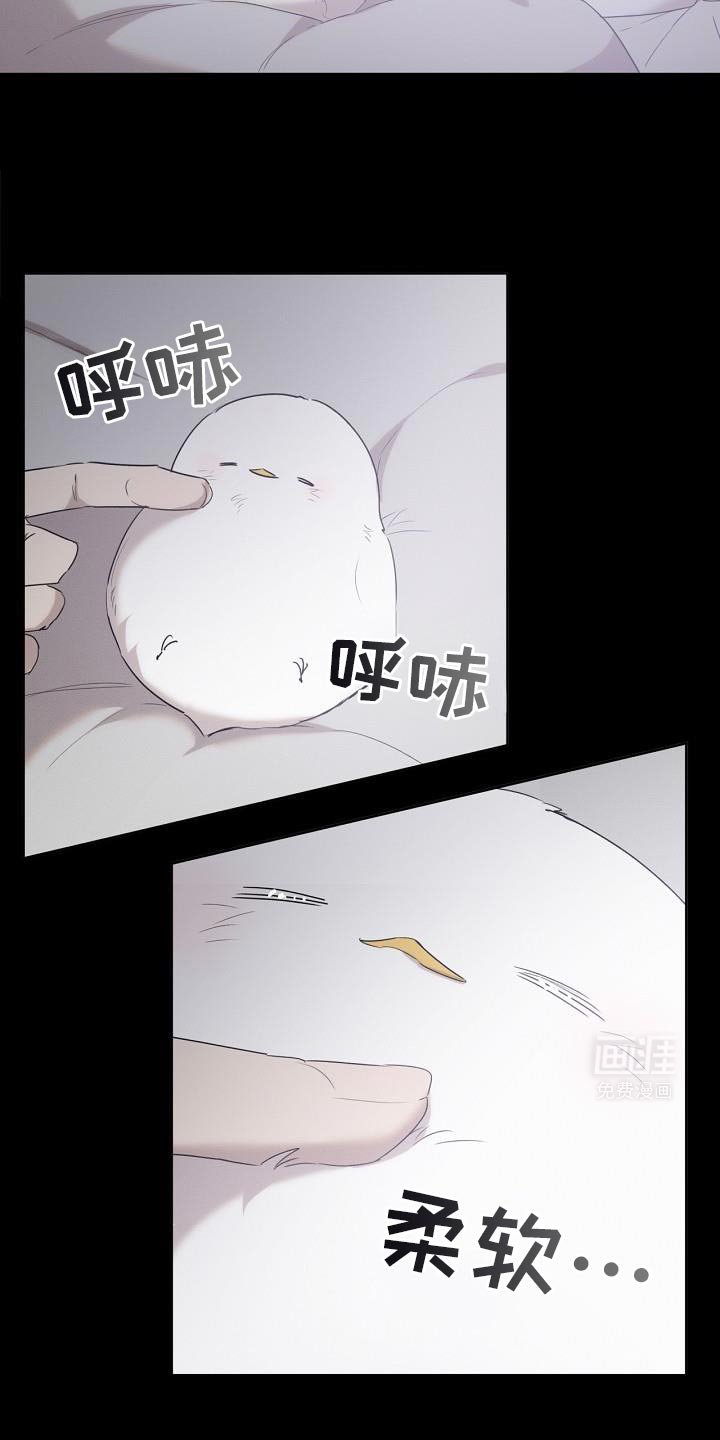 第29章：氛围不对劲