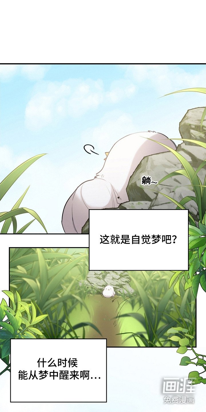 第3章：捕获