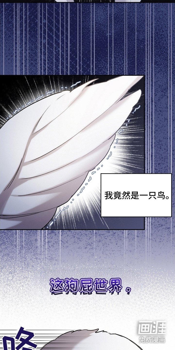 第3章：捕获