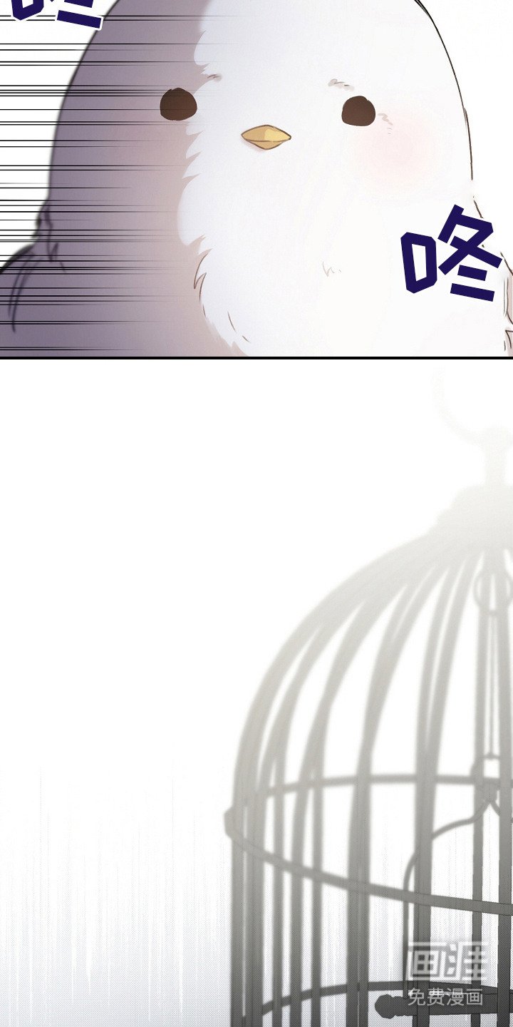 第3章：捕获