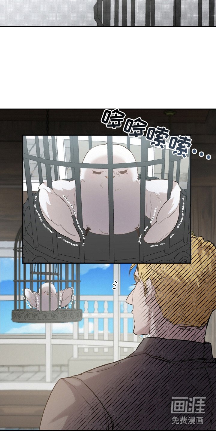 第3章：捕获
