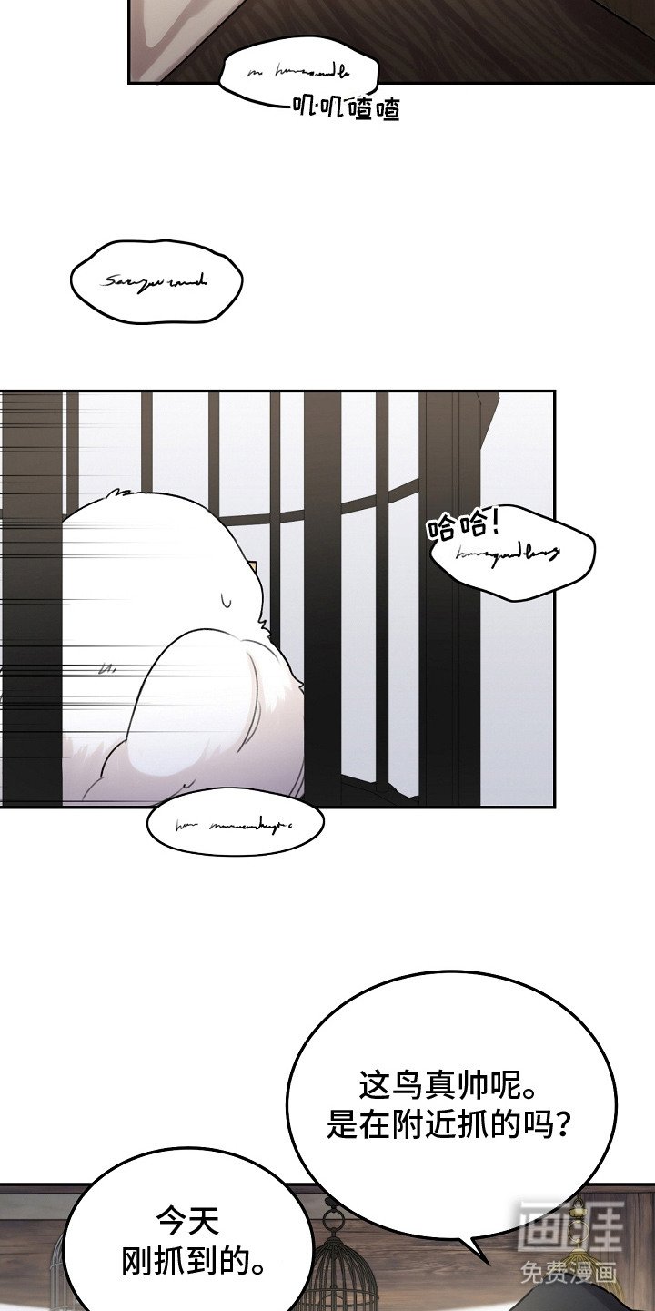 第3章：捕获