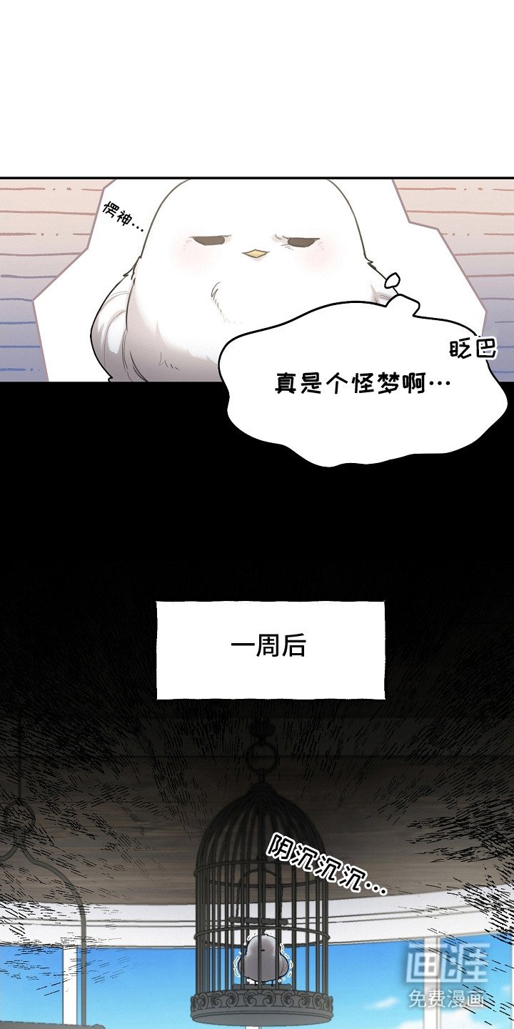 第3章：捕获