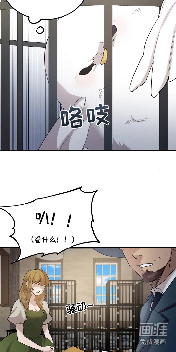 第3章：捕获