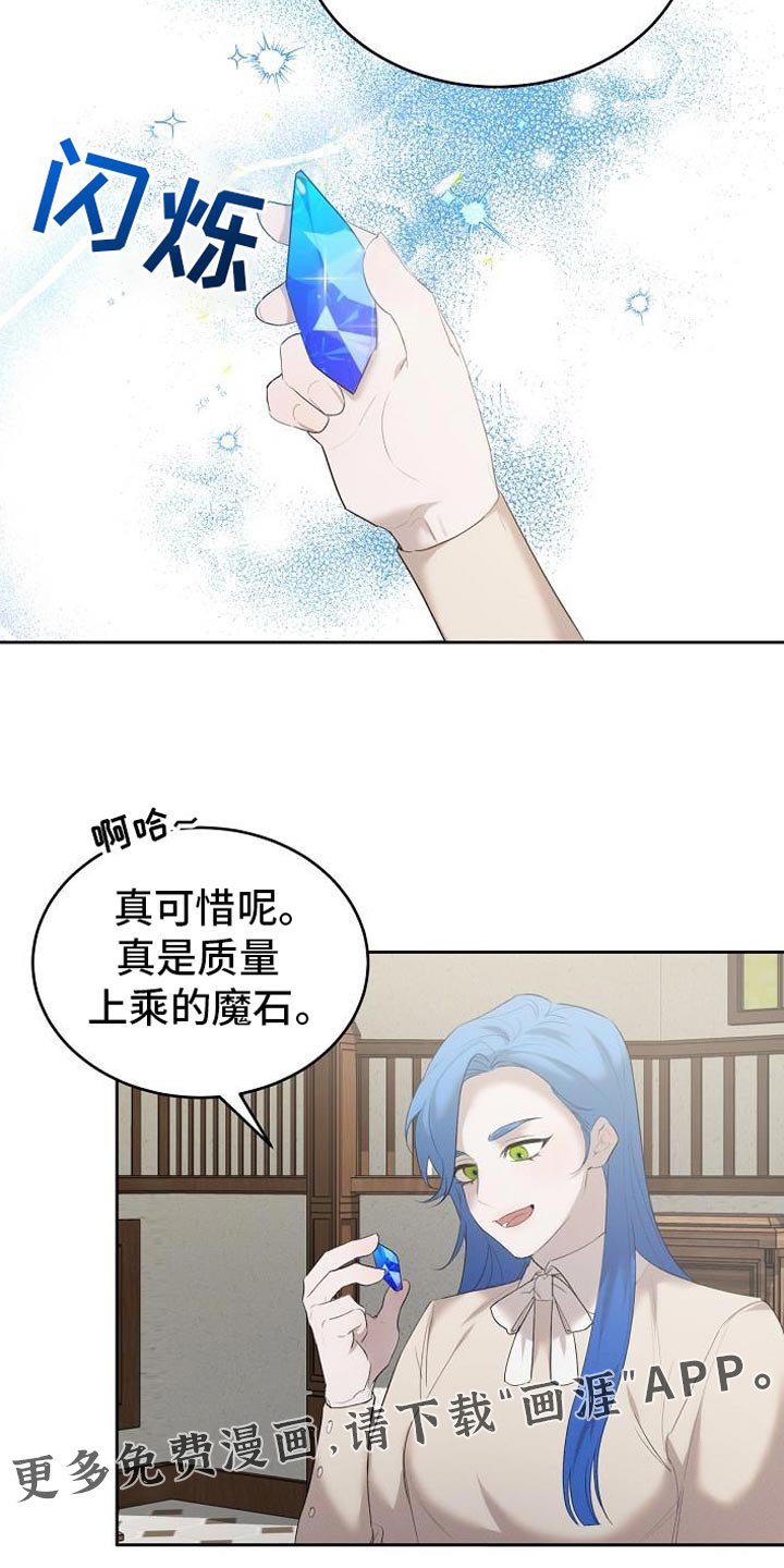 第31章：上乘的魔石