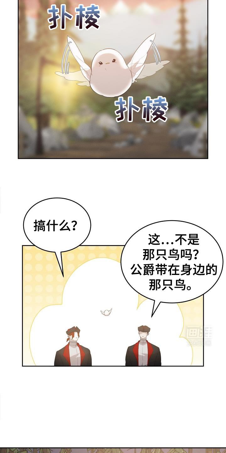 第39章：宝石