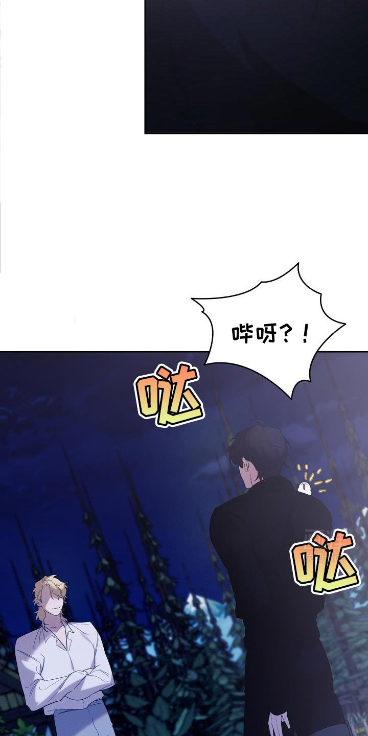 第41章：似乎会很有趣