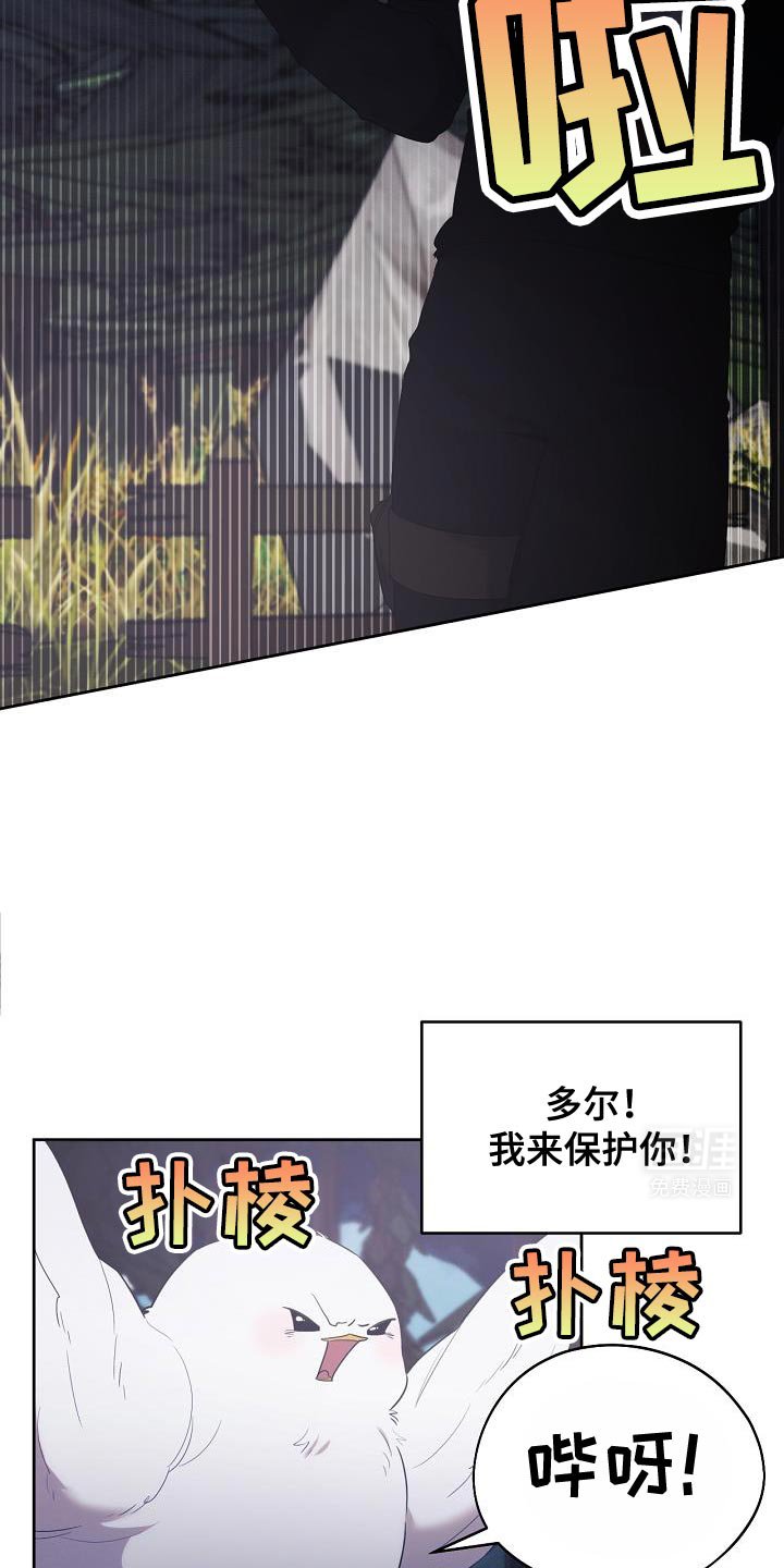 第41章：似乎会很有趣