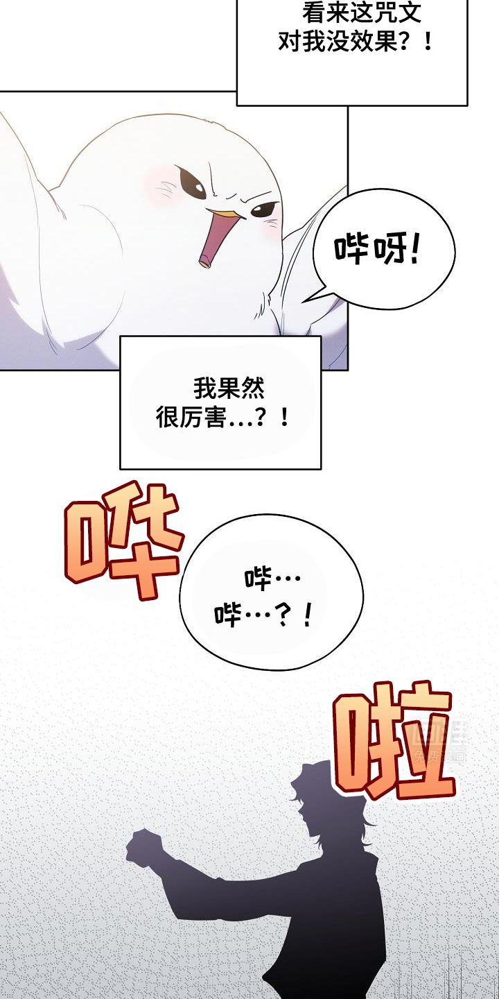 第41章：似乎会很有趣
