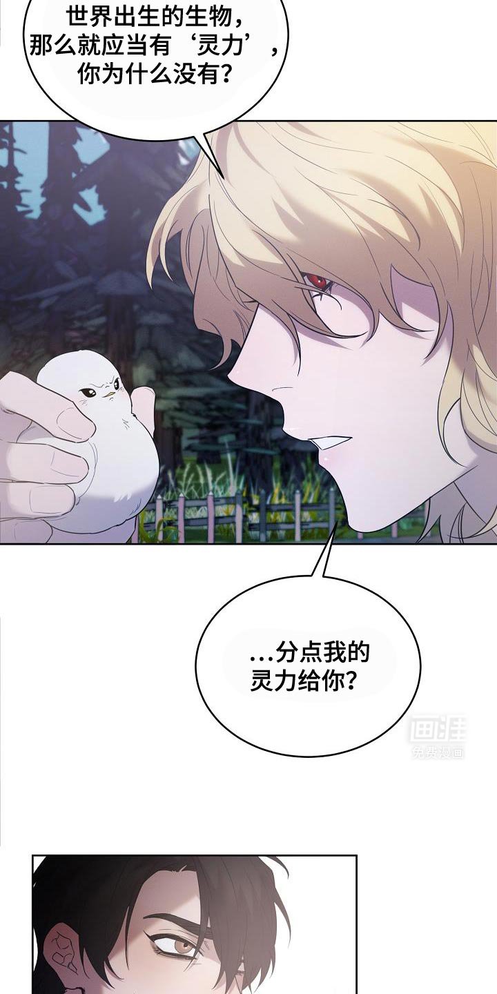 第41章：似乎会很有趣