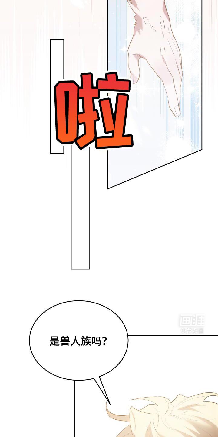 第42章：兽人族