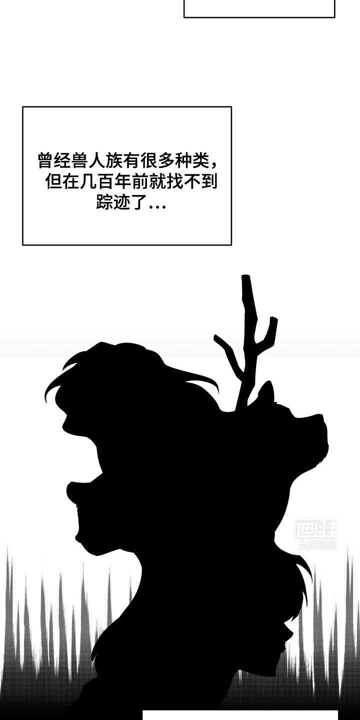第42章：兽人族
