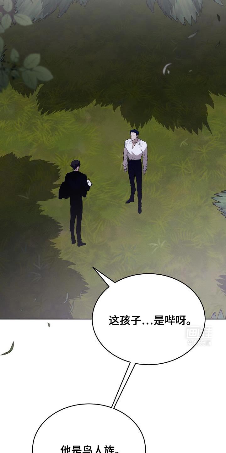 第43章：我该去找它了