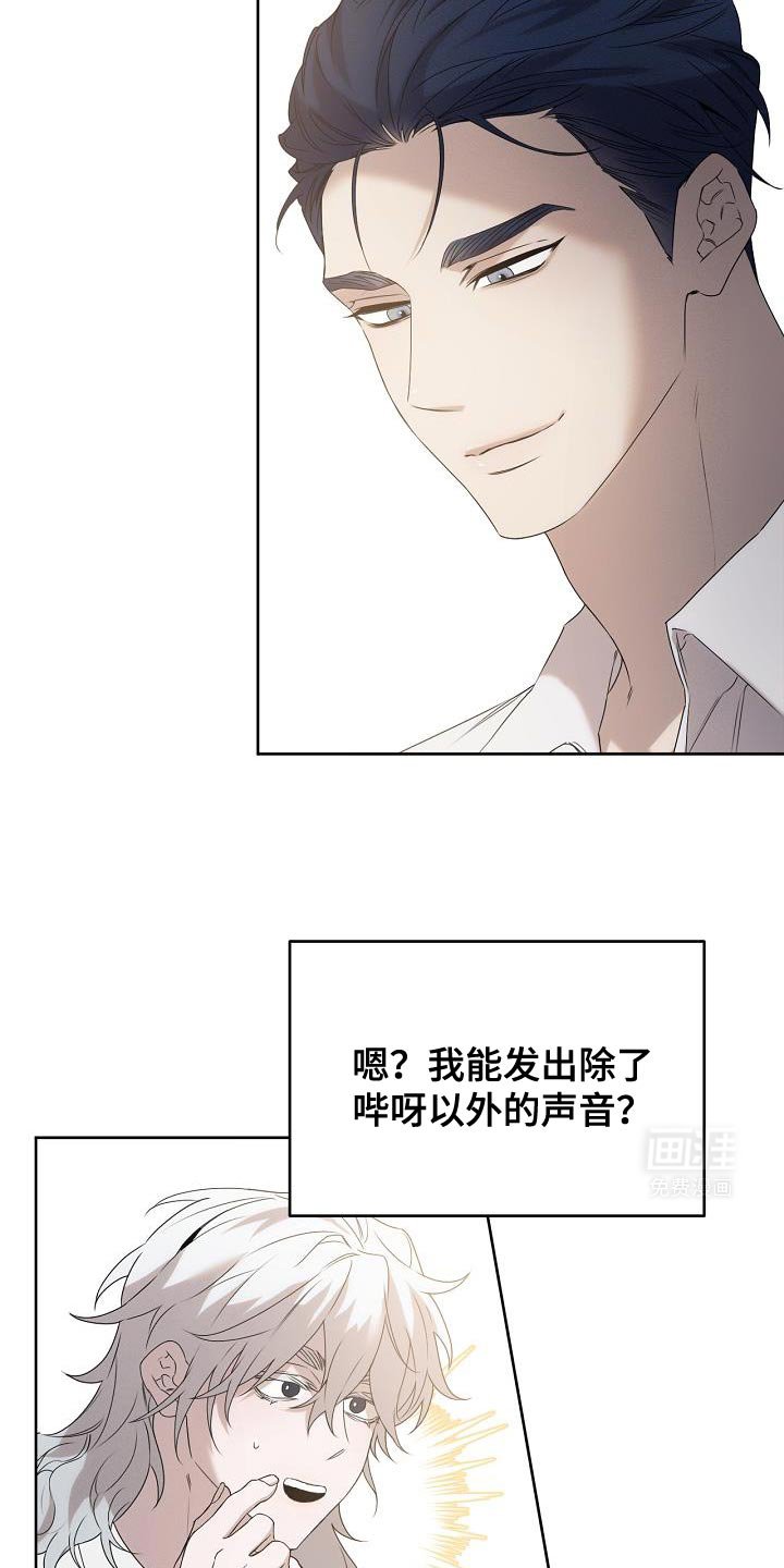 第44章：不可思议