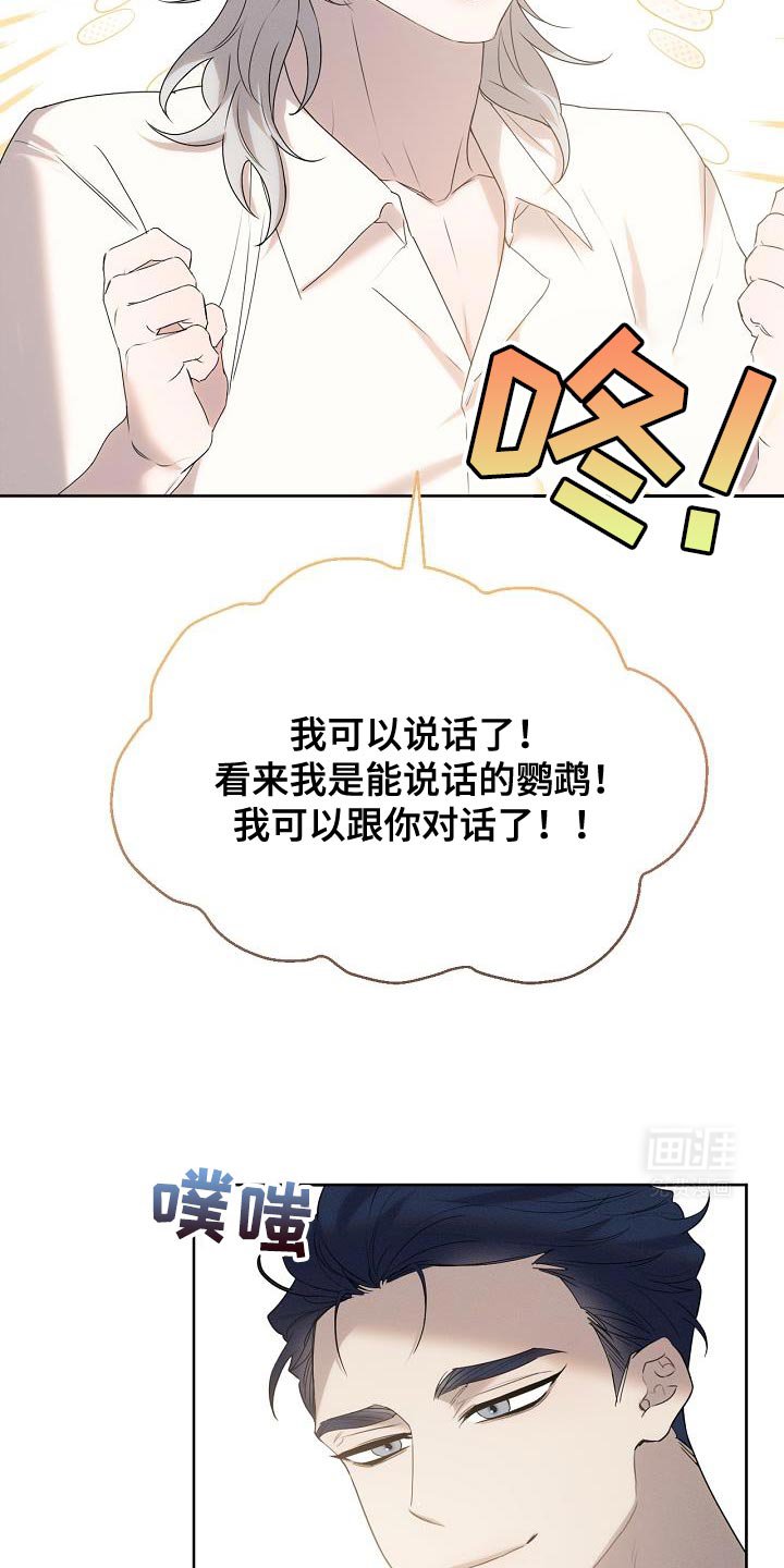 第44章：不可思议