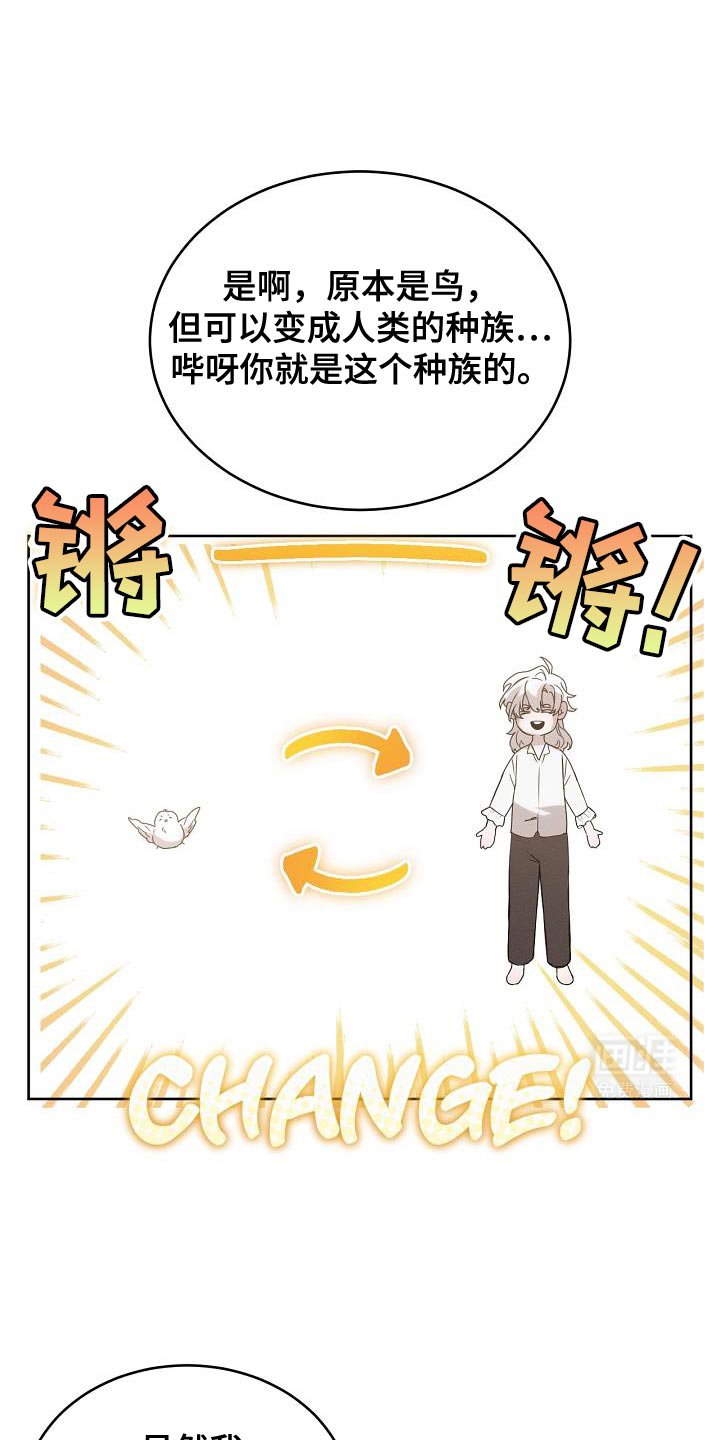 第44章：不可思议