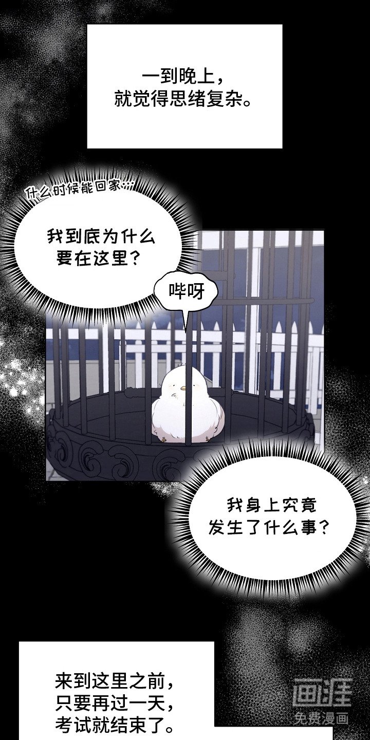 第5章：是真的