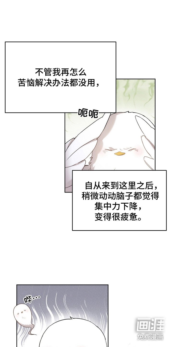 第5章：是真的