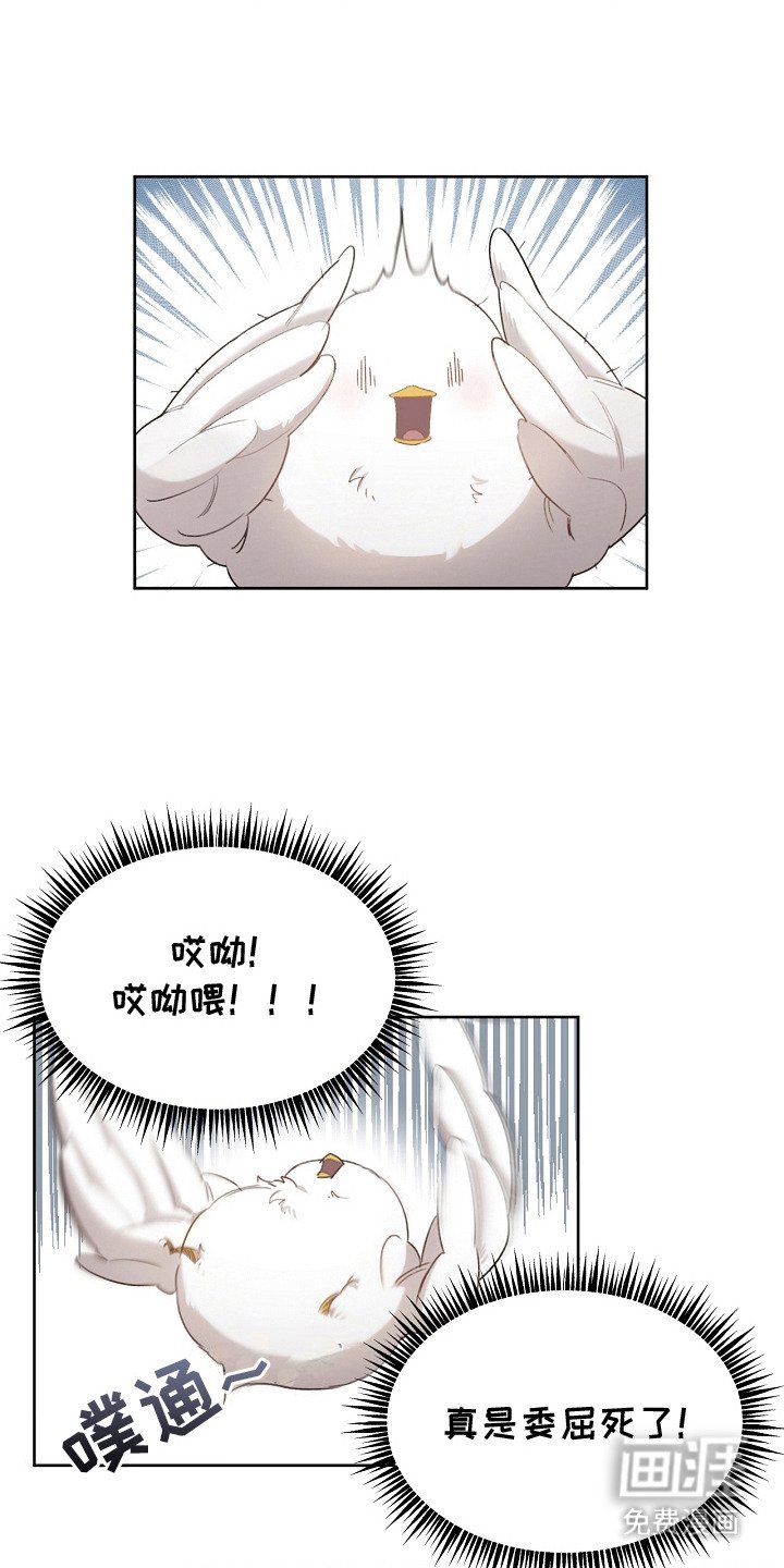 第5章：是真的