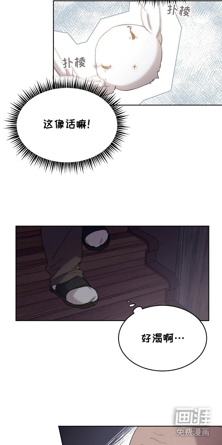 第5章：是真的