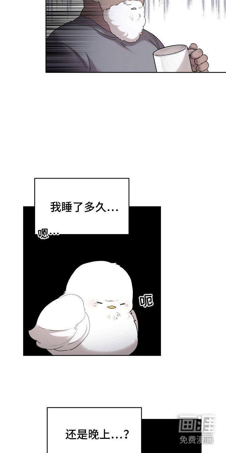第5章：是真的