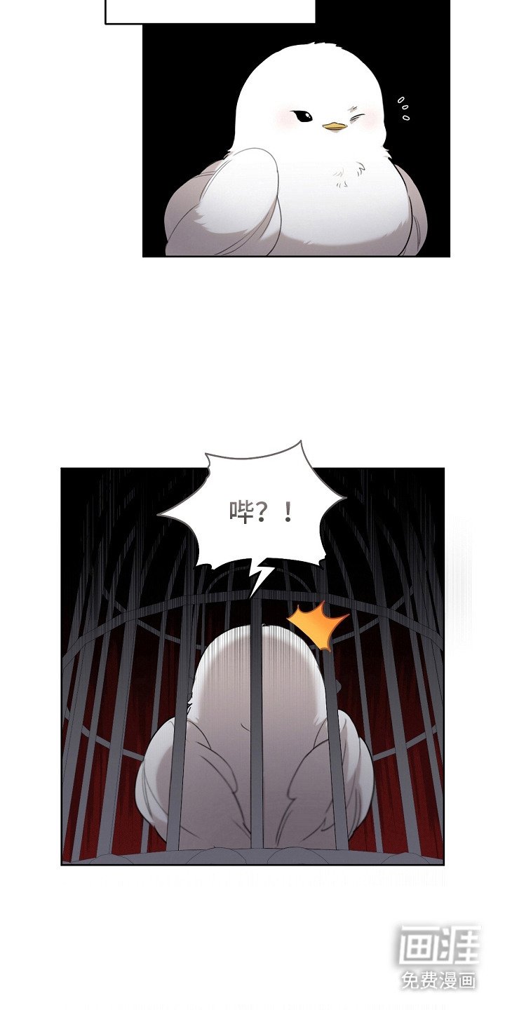 第5章：是真的