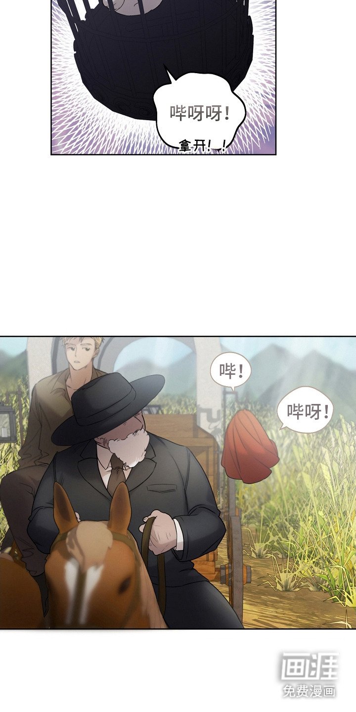 第5章：是真的