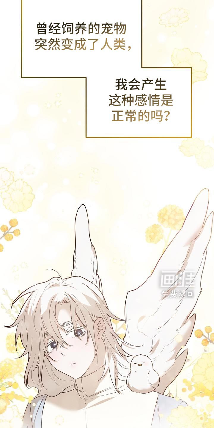 第50章：自杀
