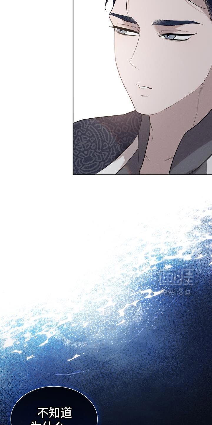 第51章：伪装