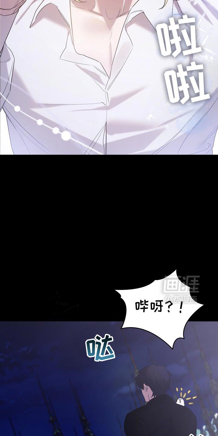 第51章：伪装