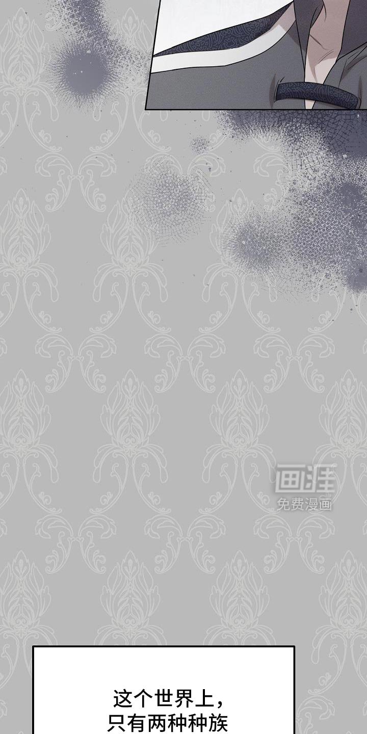 第51章：伪装