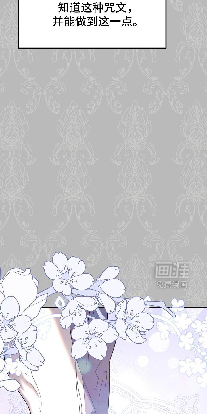 第51章：伪装