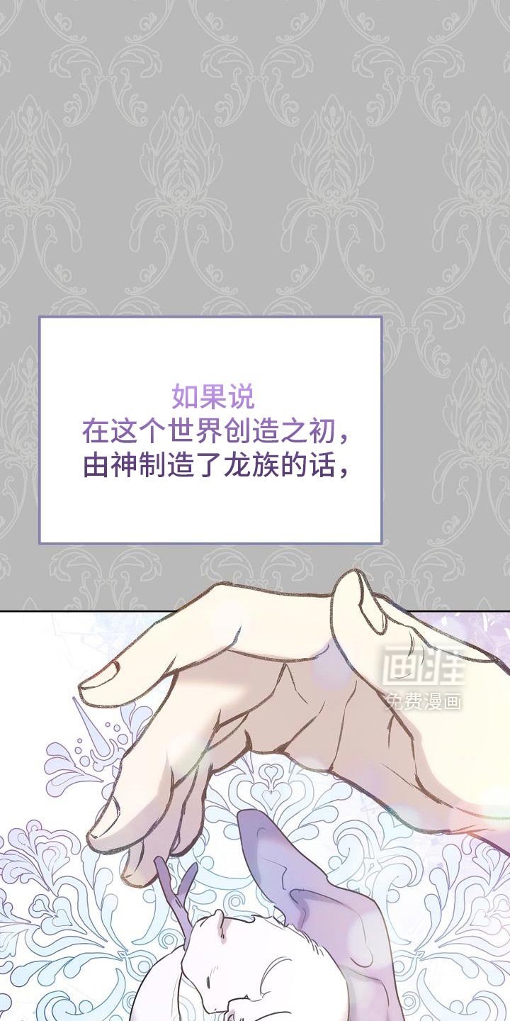 第51章：伪装