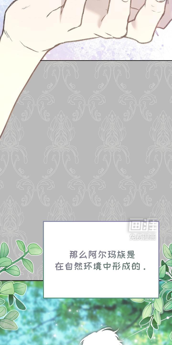 第51章：伪装