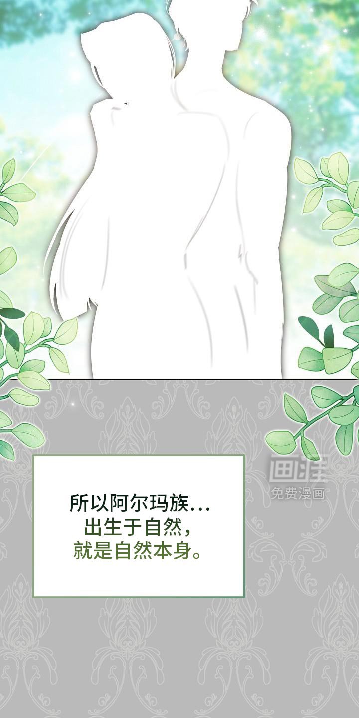 第51章：伪装