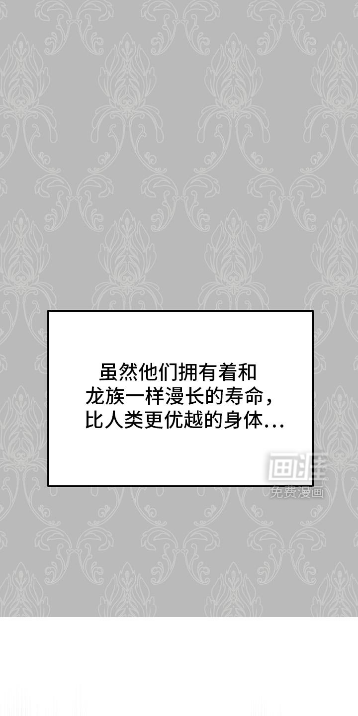 第51章：伪装