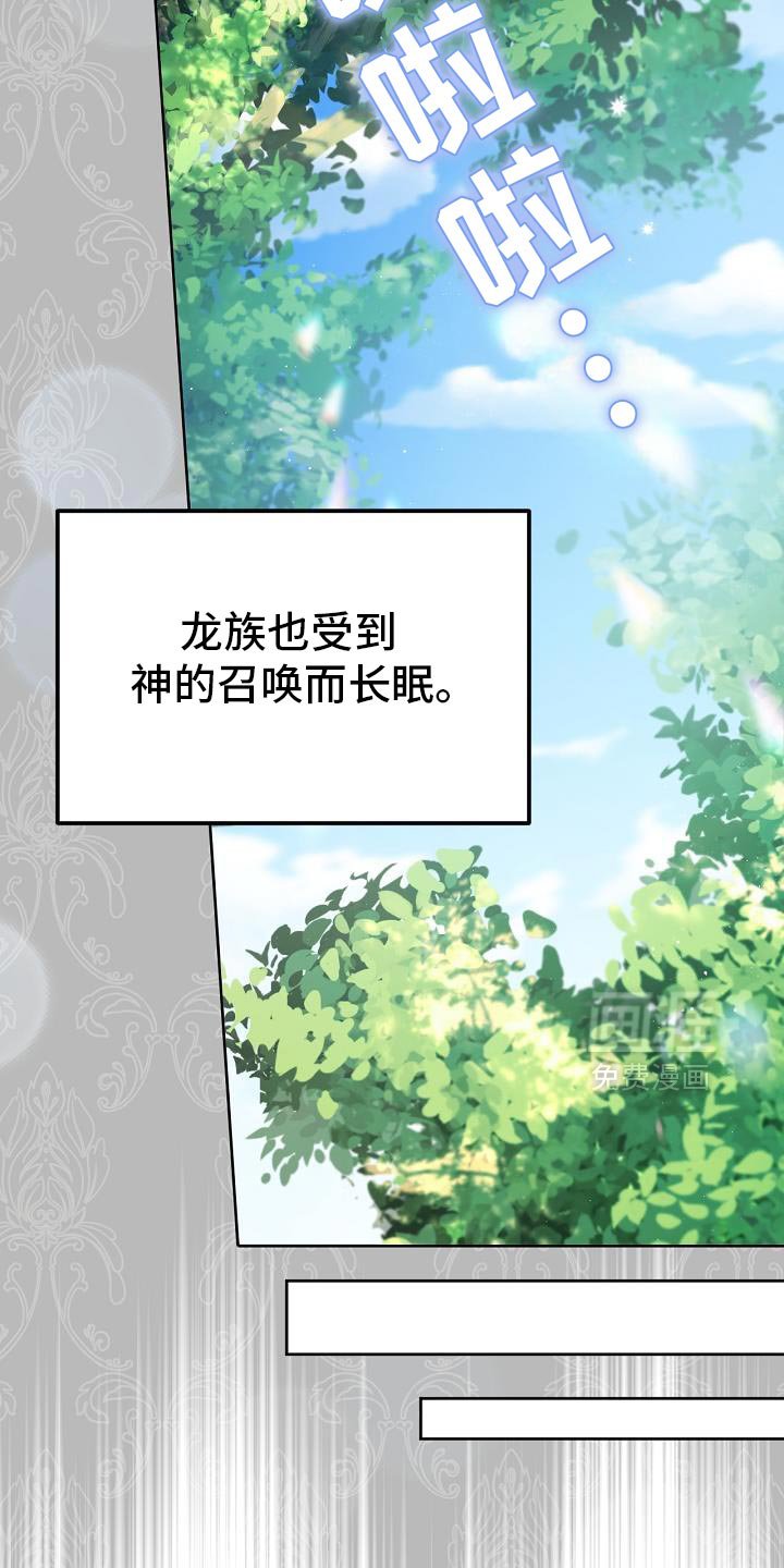 第51章：伪装