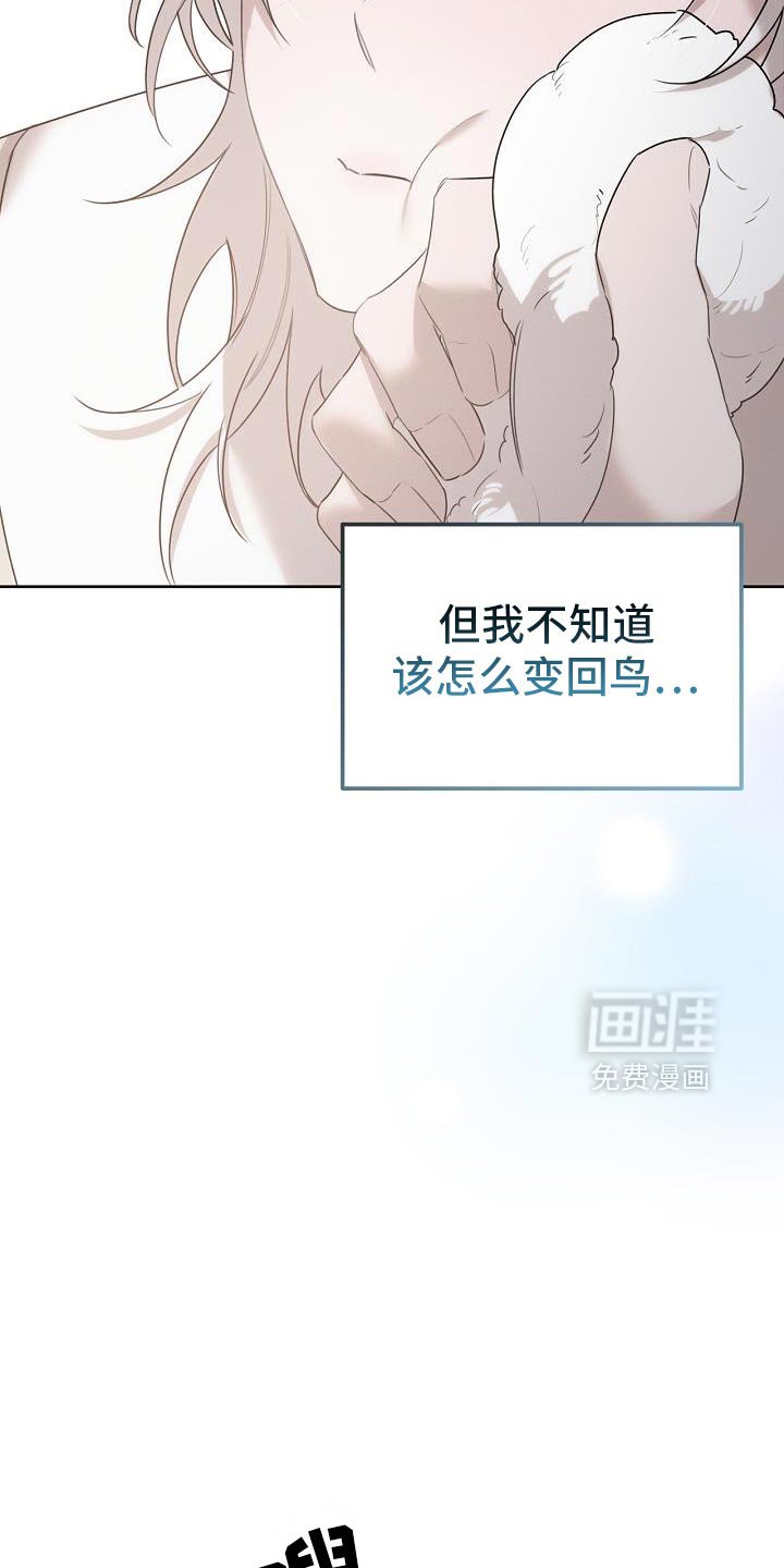 第52章：可以叫我名字吗