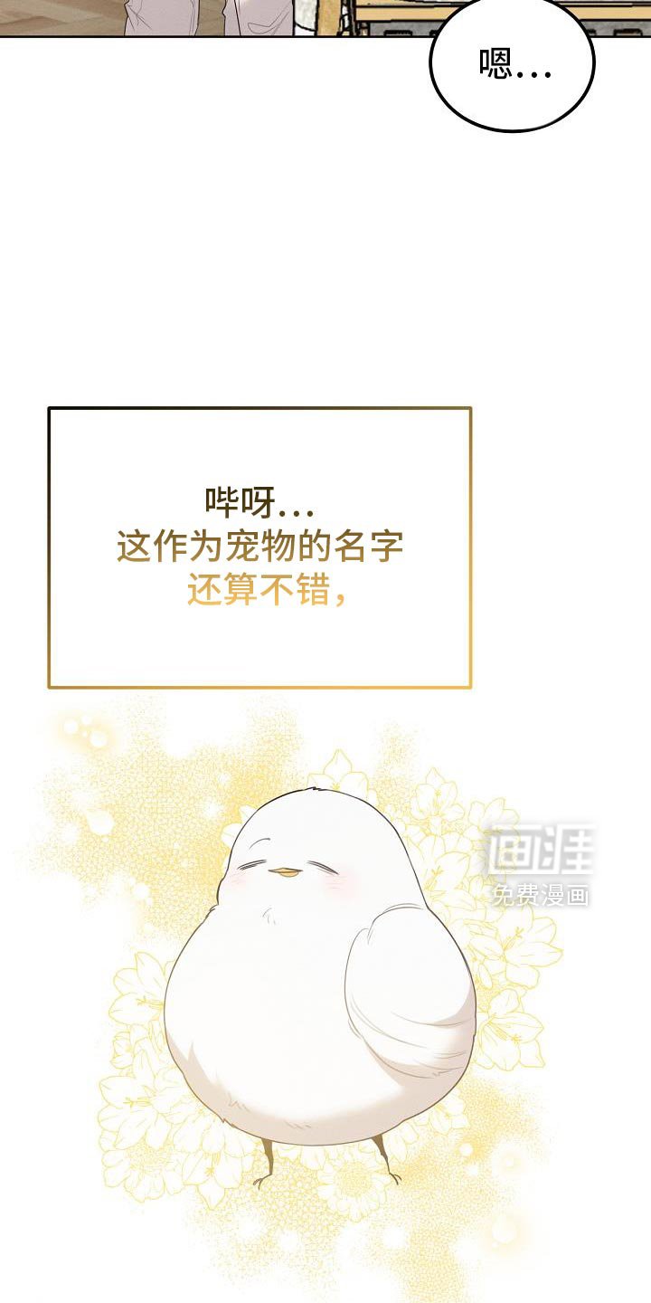 第52章：可以叫我名字吗